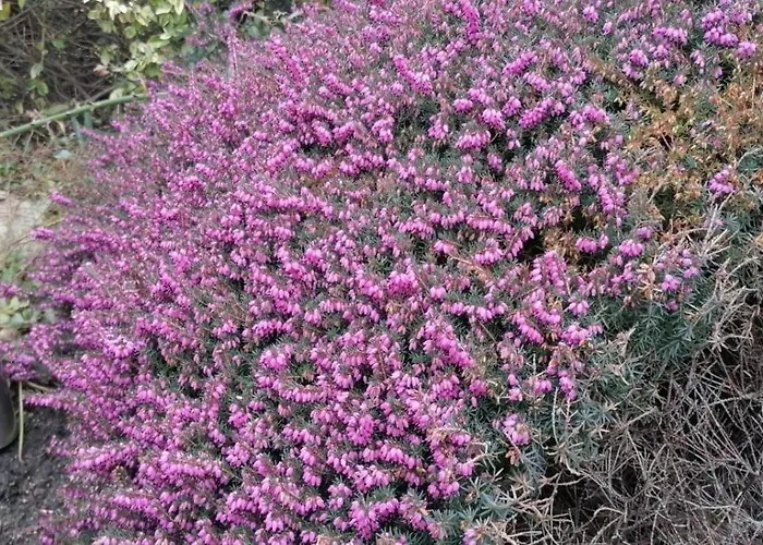 App-martha Apartamento